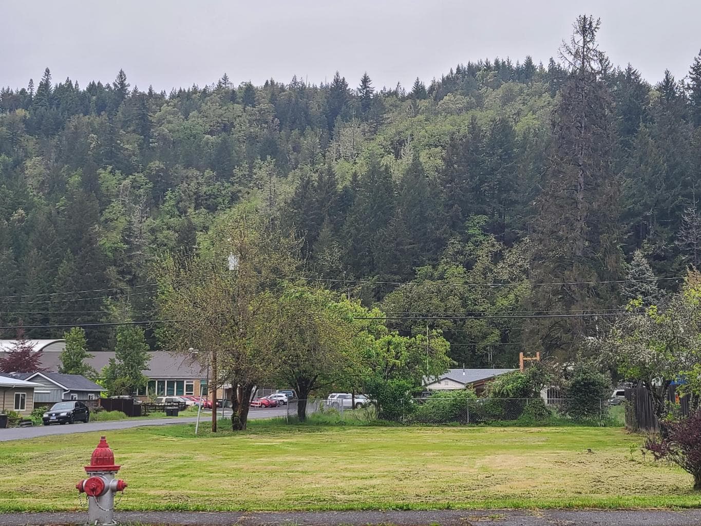 76442 Laurel, Oakridge, 97463