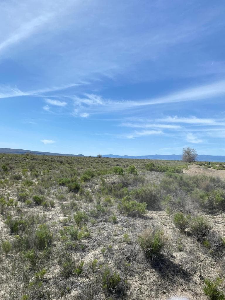 Lot 106 Thousand Springs, Summer Lake, 97640