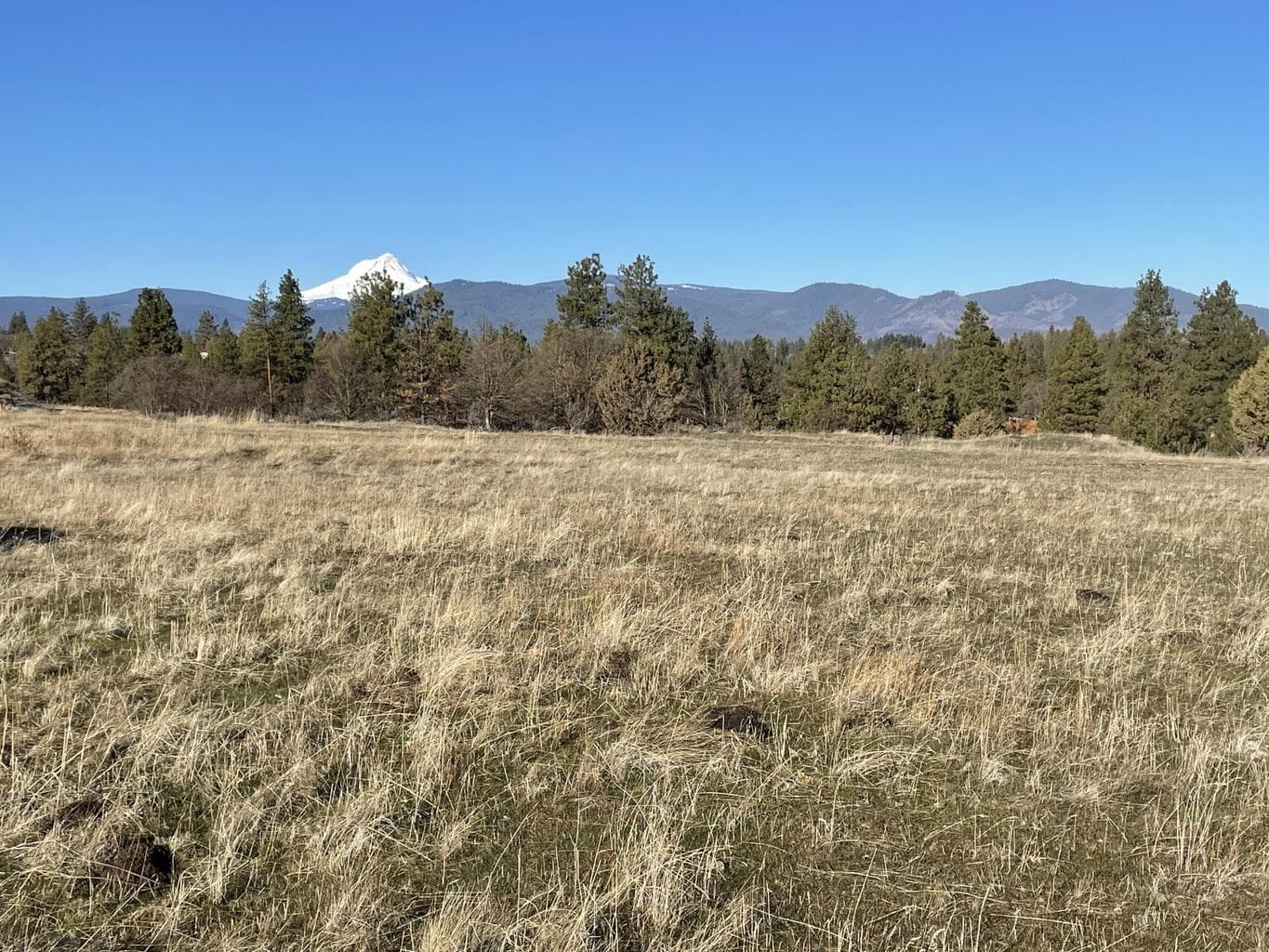 Lot 3 Homestead, Tygh Valley, 97063