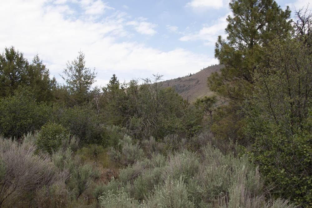 Photo of Stoneridge 5 of 9
