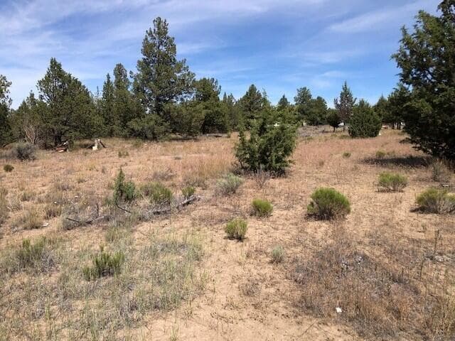 Photo of 13911 Navajo 5 of 19