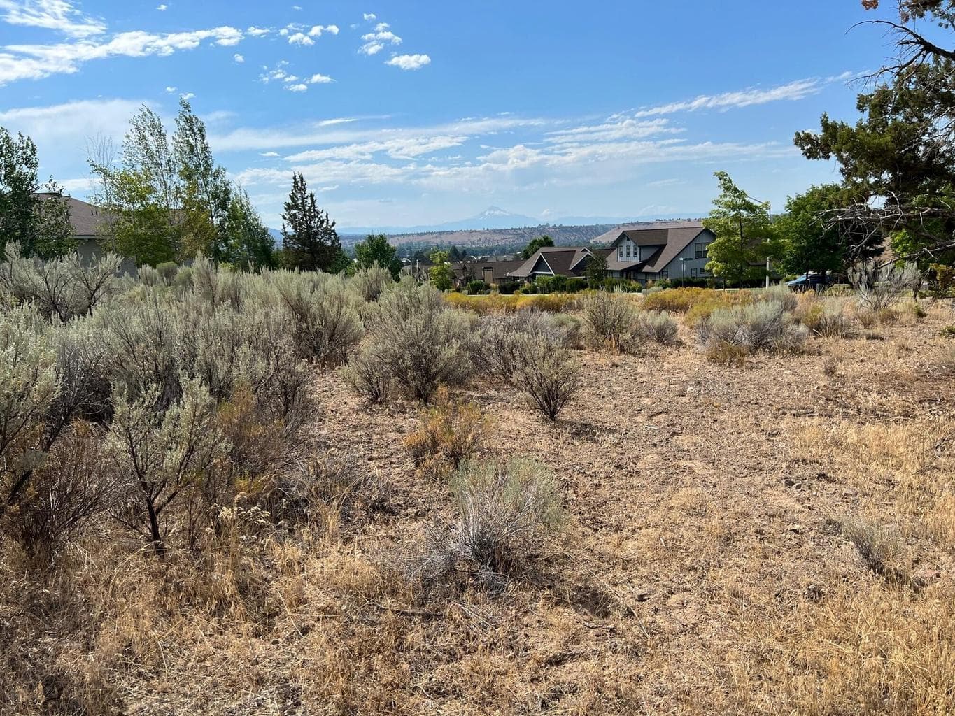 Photo of Lot 87 Yarrow 3 of 7
