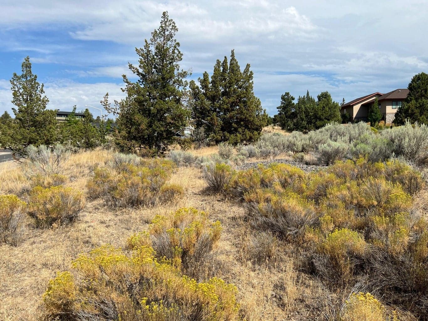 Photo of Lot 87 Yarrow 4 of 7