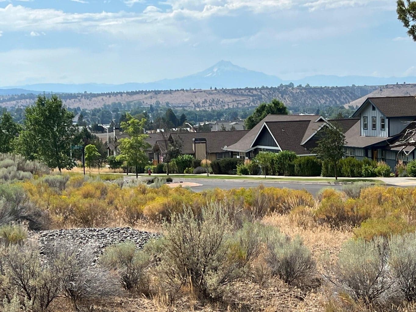 Photo of Lot 87 Yarrow 1 of 7