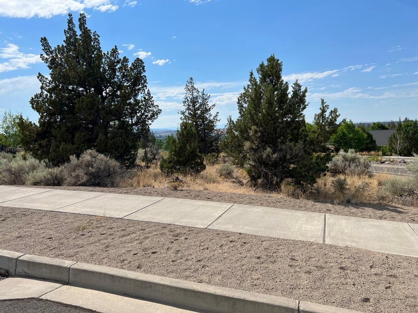 Photo of Lot 87 Yarrow 5 of 7