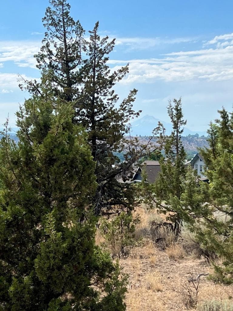 Photo of Lot 87 SE Yarrow Avenue 6 of 7