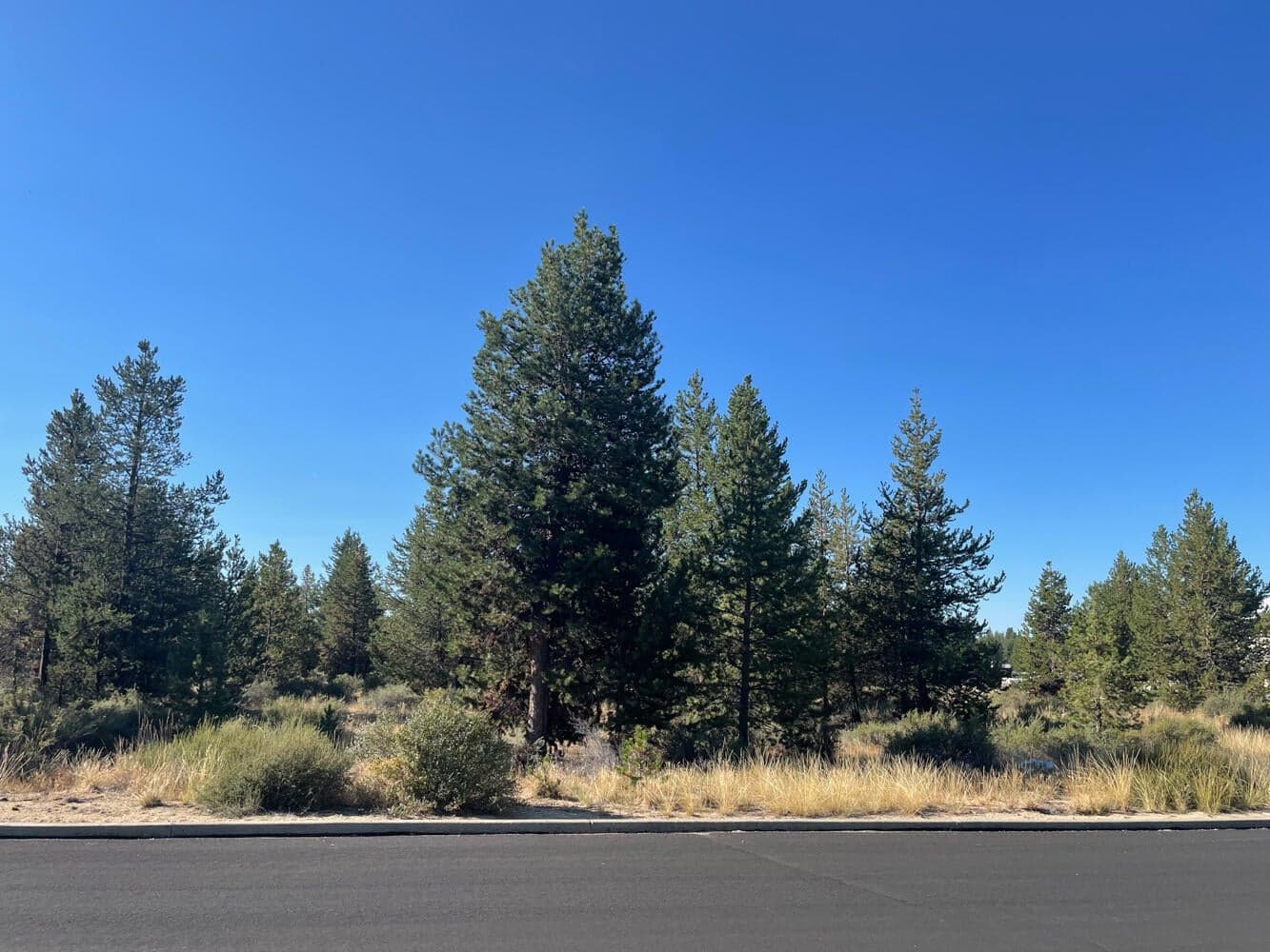 16629 Assembly, La Pine, 97739