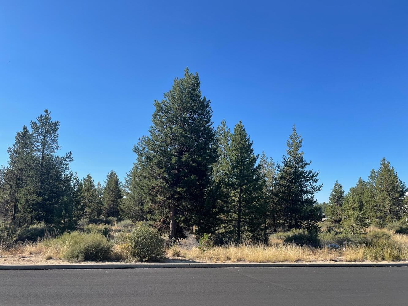 16615 Assembly, La Pine, 97739