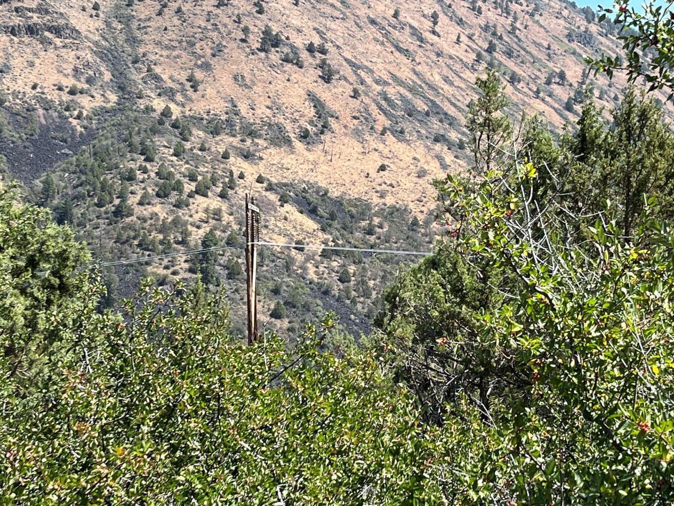 Photo of Peregrine Heights 2 of 11