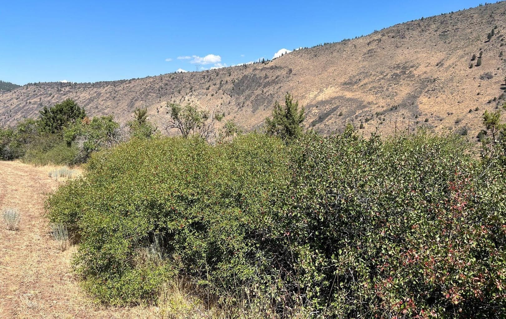 Lot 40 Peregrine Heights
