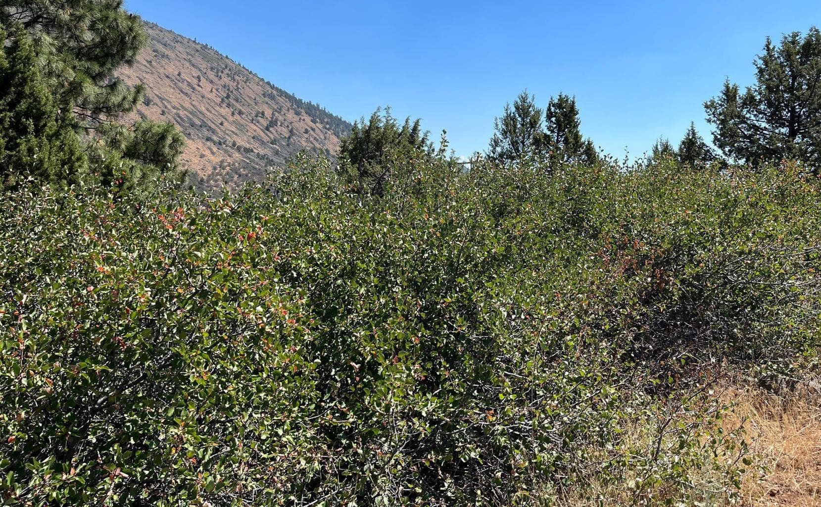Photo of Lot 40 Peregrine Heights 2 of 11