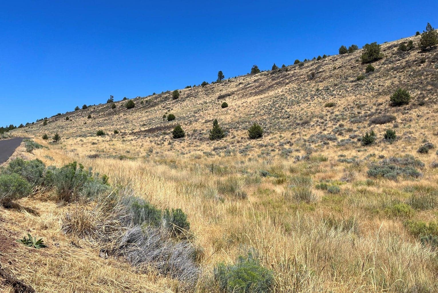 Photo of Lot 82 Peregrine Heights 3 of 9