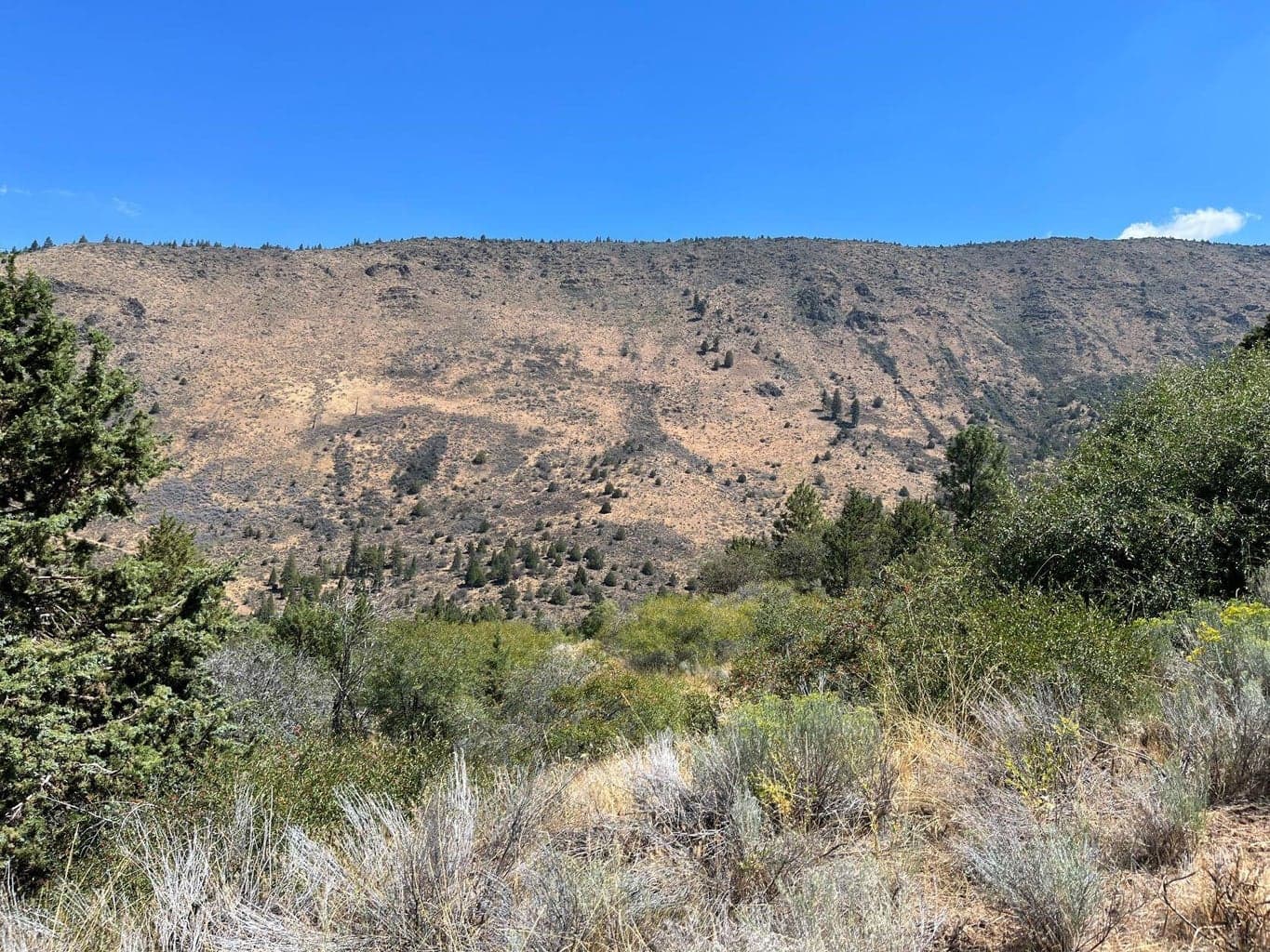 Photo of Peregrine Heights 4 of 10