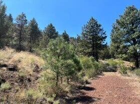 Photo of Lot 51 Peregrine Heights 2 of 10
