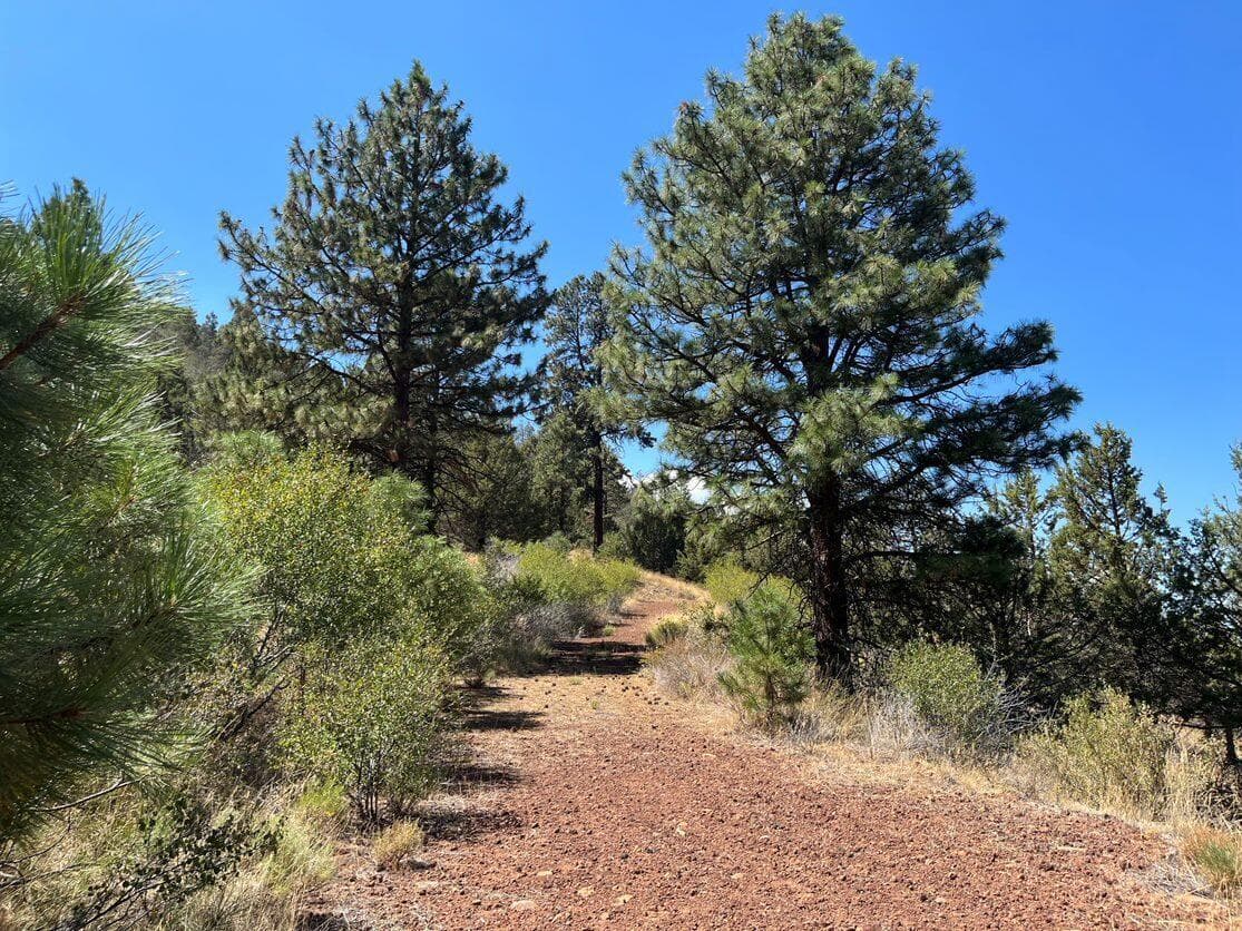 Photo of Lot 51 Peregrine Heights 4 of 10