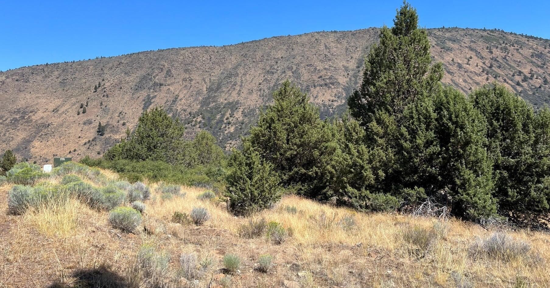 Peregrene Heights