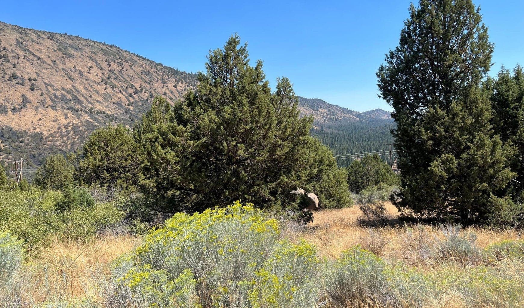 Photo of Peregrene Heights 5 of 8