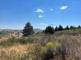 Peregrine Heights