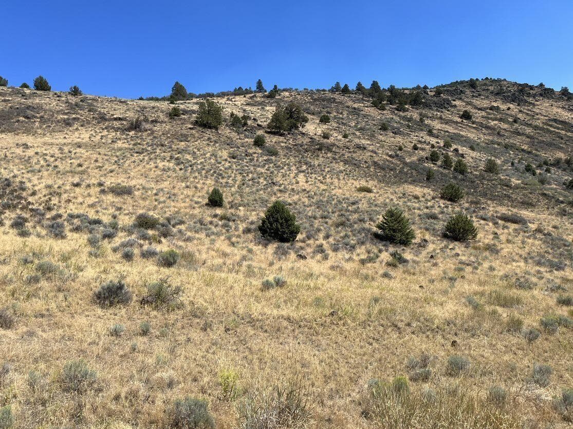 Photo of Lot 83 Peregrine Heights 3 of 10