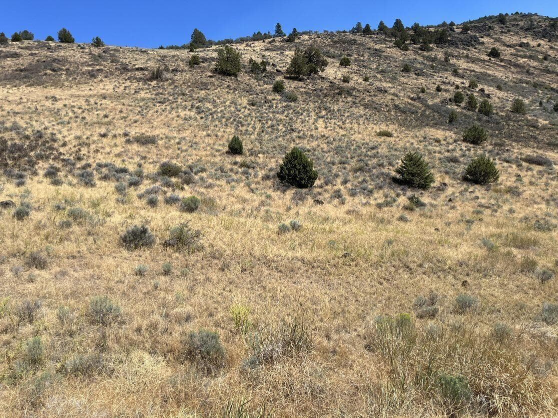 Photo of Lot 83 Peregrine Heights 4 of 10