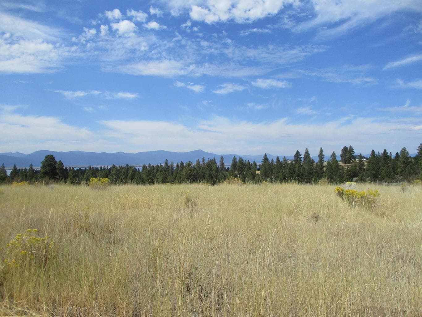 Photo of NKA Block 44 Lot 41 Dawn 3 of 5