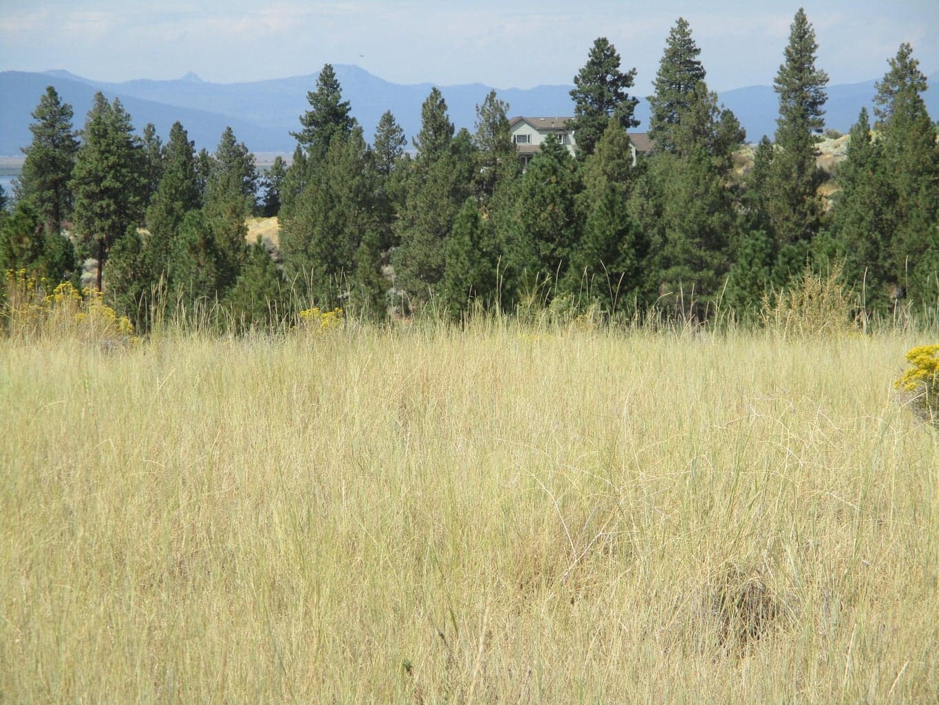 Photo of NKA Block 44 Lot 41 Dawn 2 of 5