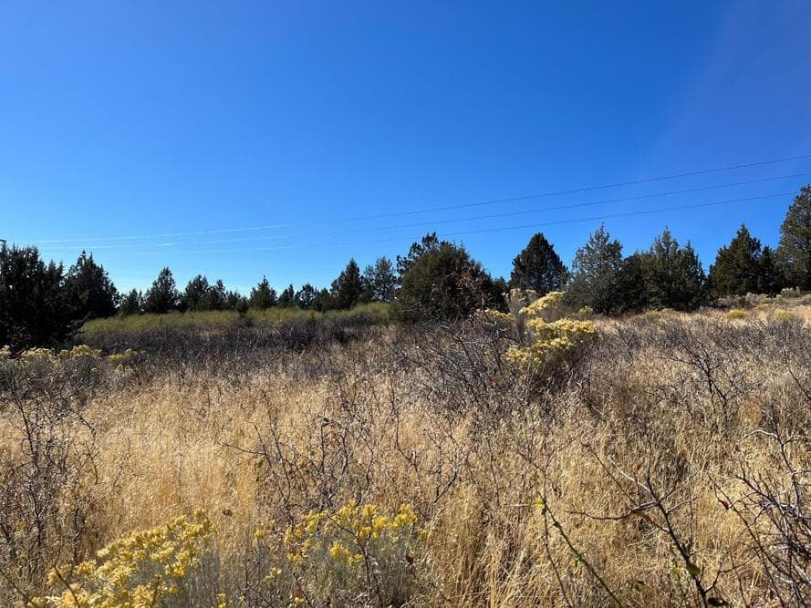 Photo of Peregrine Heights 2 of 10