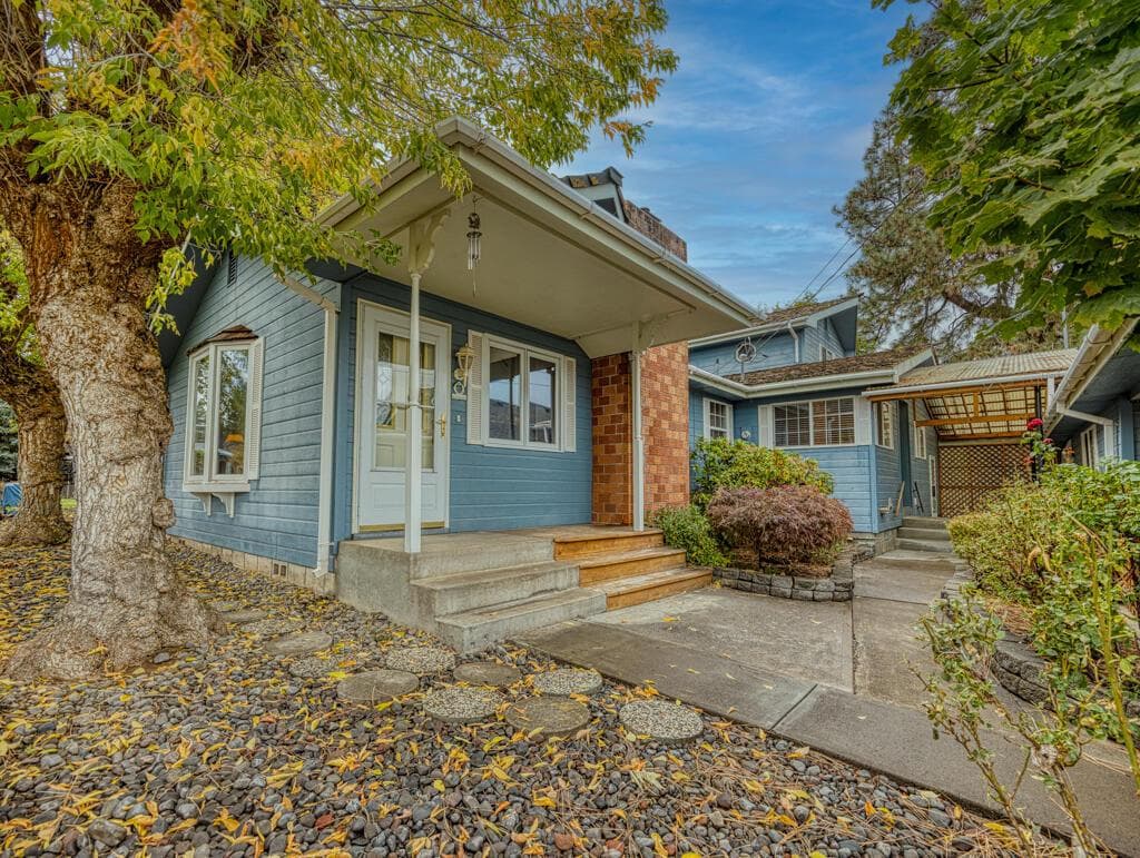 Photo of 15447 Fern 2 of 36