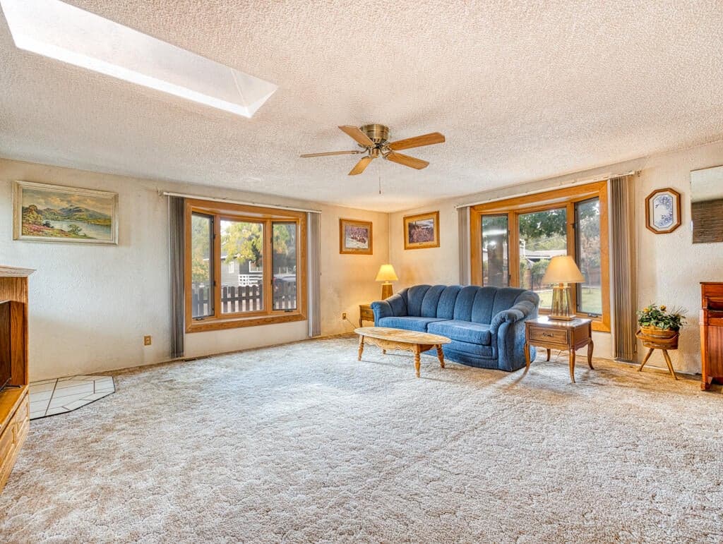 Photo of 15447 Fern 3 of 36