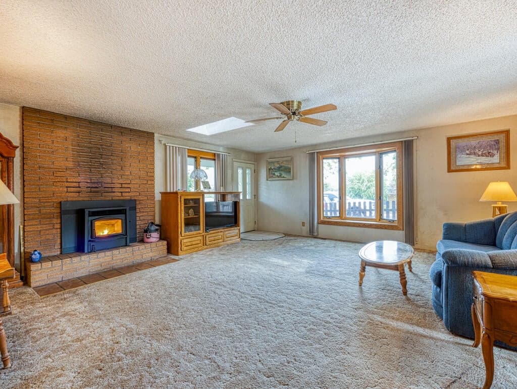 Photo of 15447 Fern 4 of 36