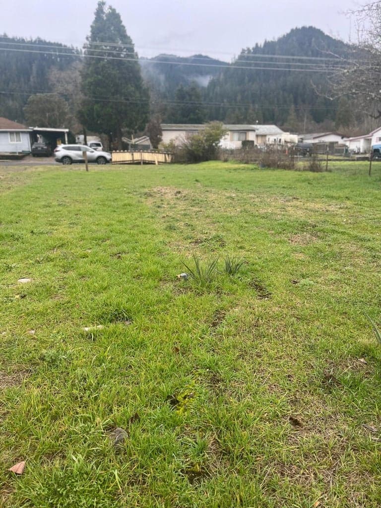 47635 School, Oakridge, 97463