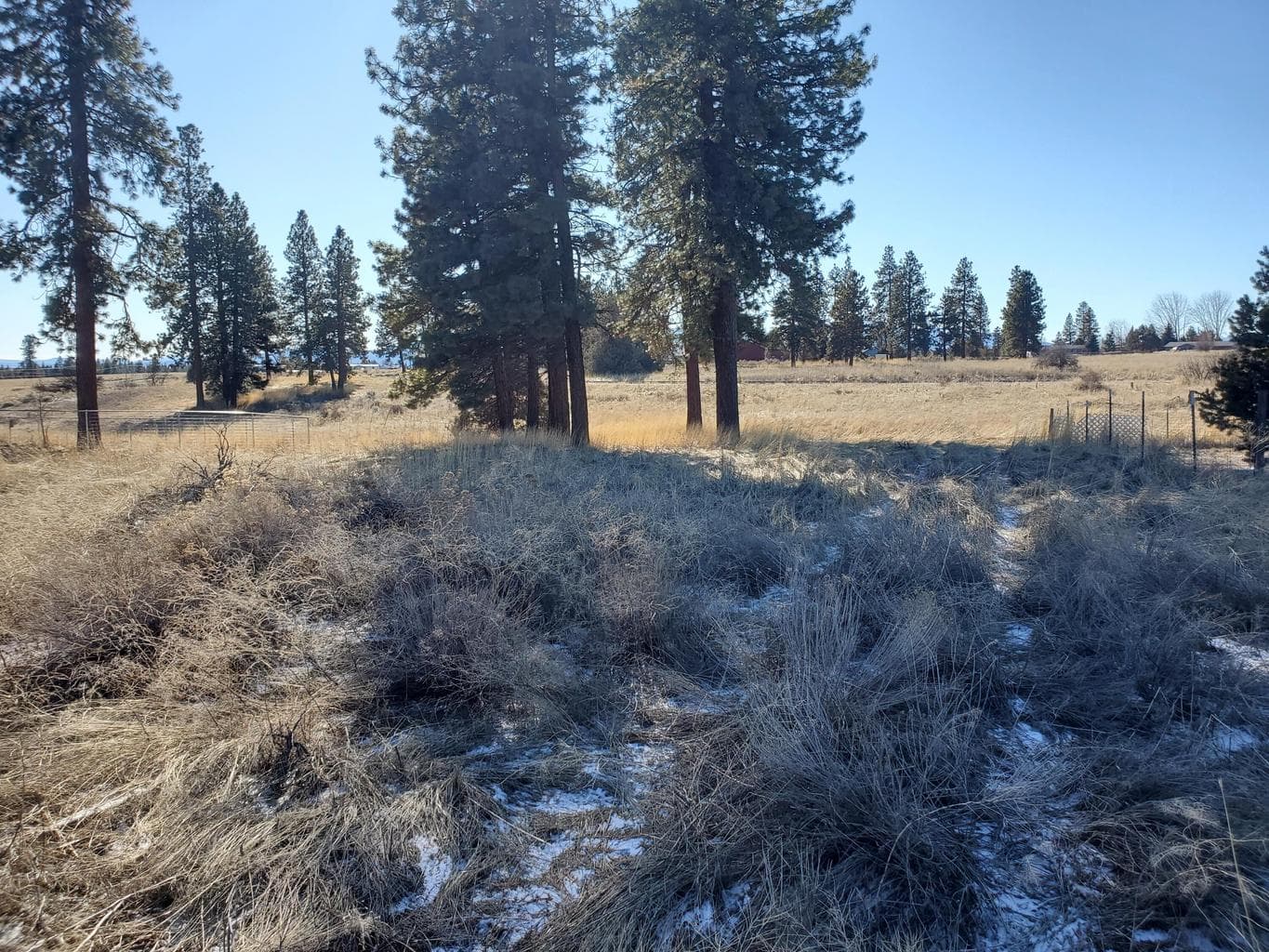 Lot 13 Meadow View