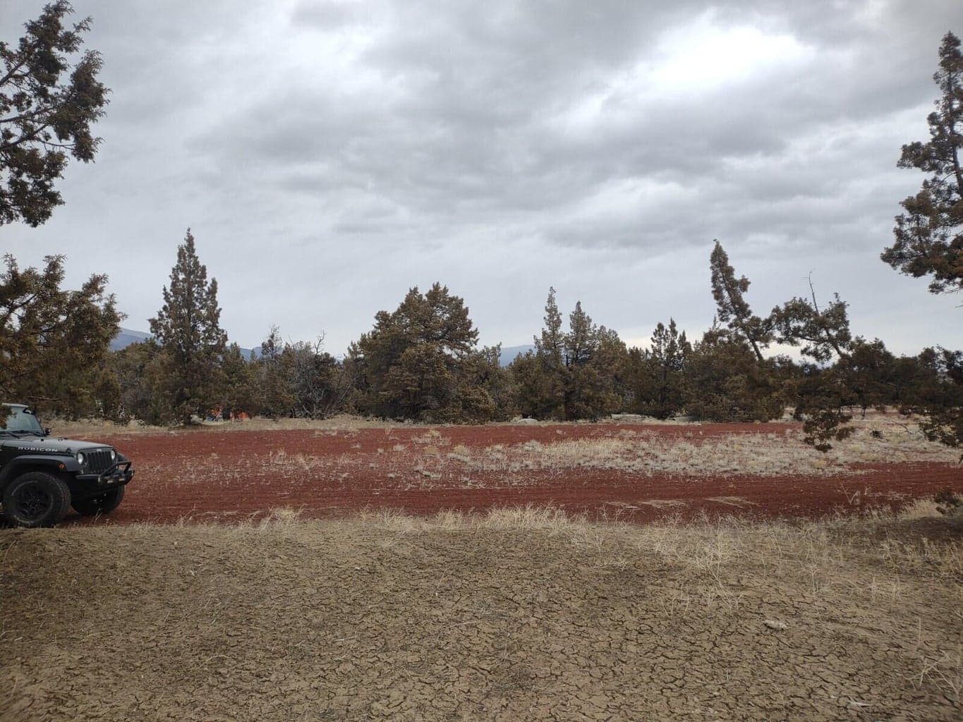 Central portion of site