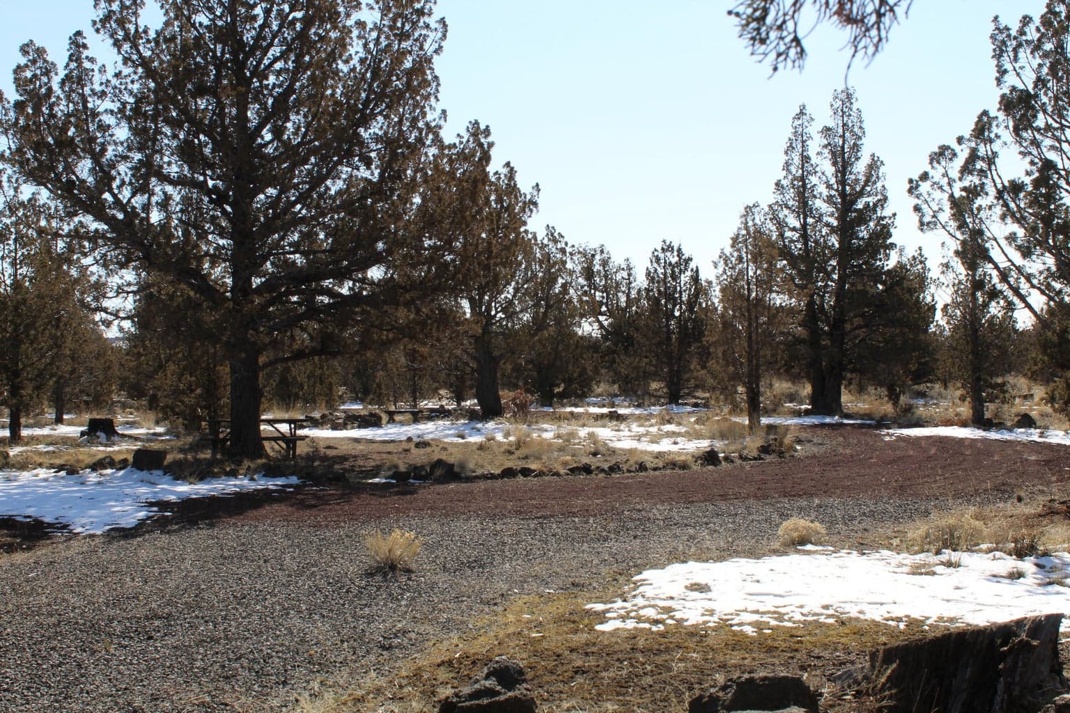 Photo of TL3000 SE Umatilla Loop 6 of 17