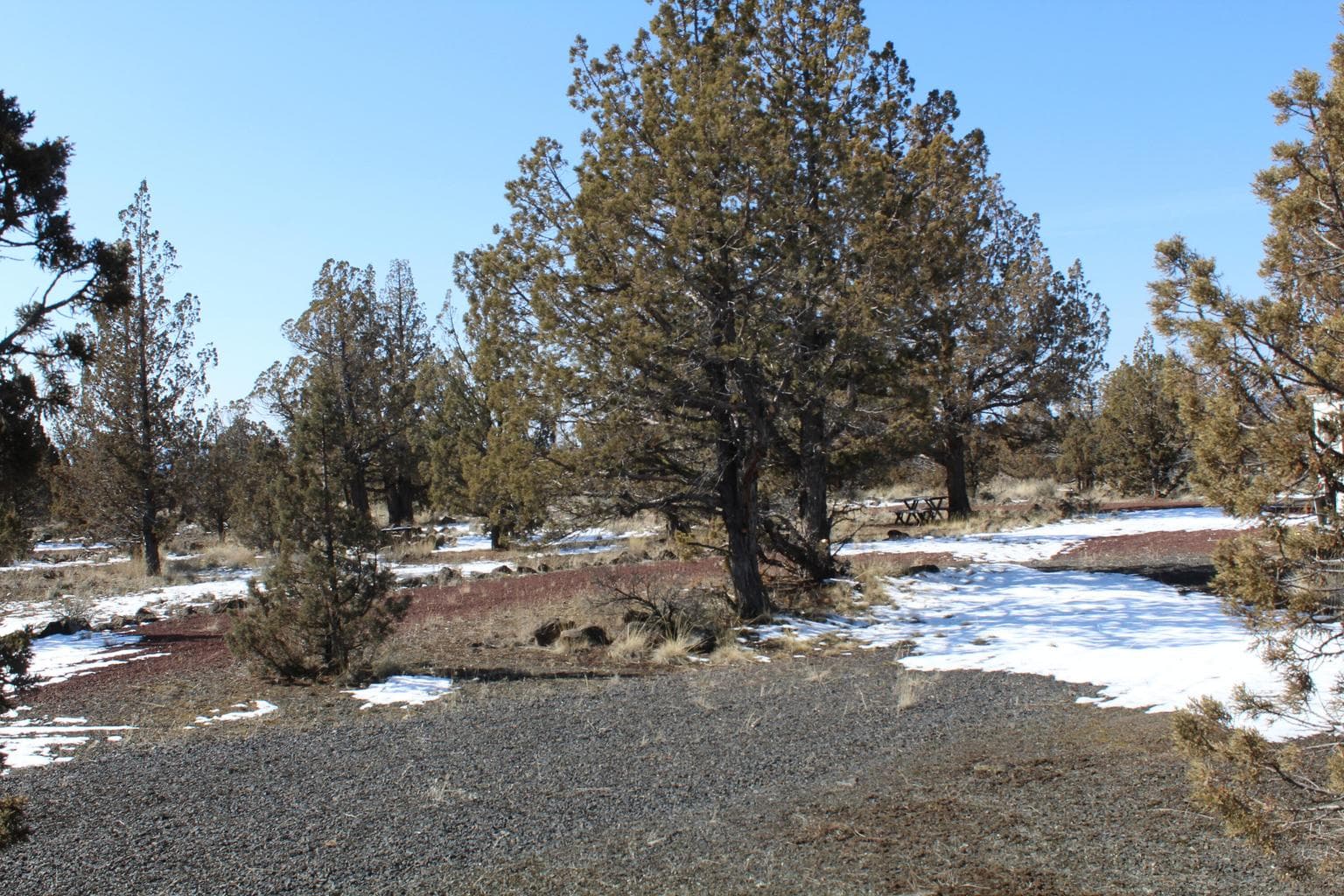 Photo of TL3000 SE Umatilla Loop 9 of 17