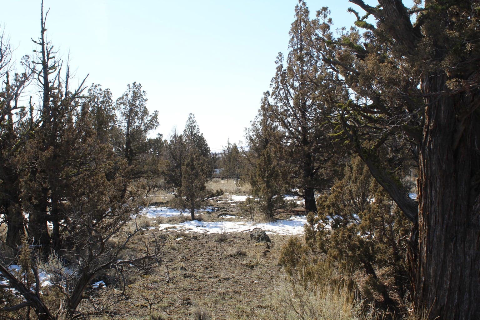 Photo of TL3100 Umatilla 3 of 16