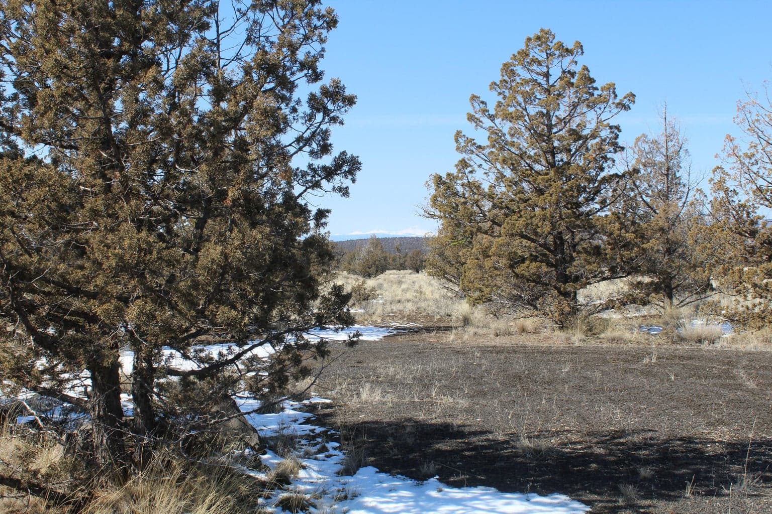 Photo of TL3100 Umatilla 4 of 16