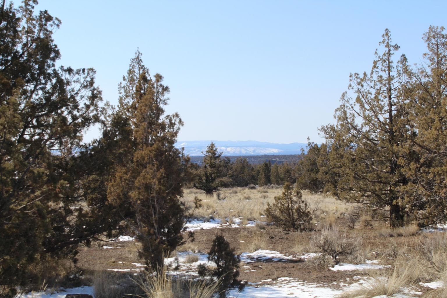 Photo of TL3100 Umatilla 5 of 16