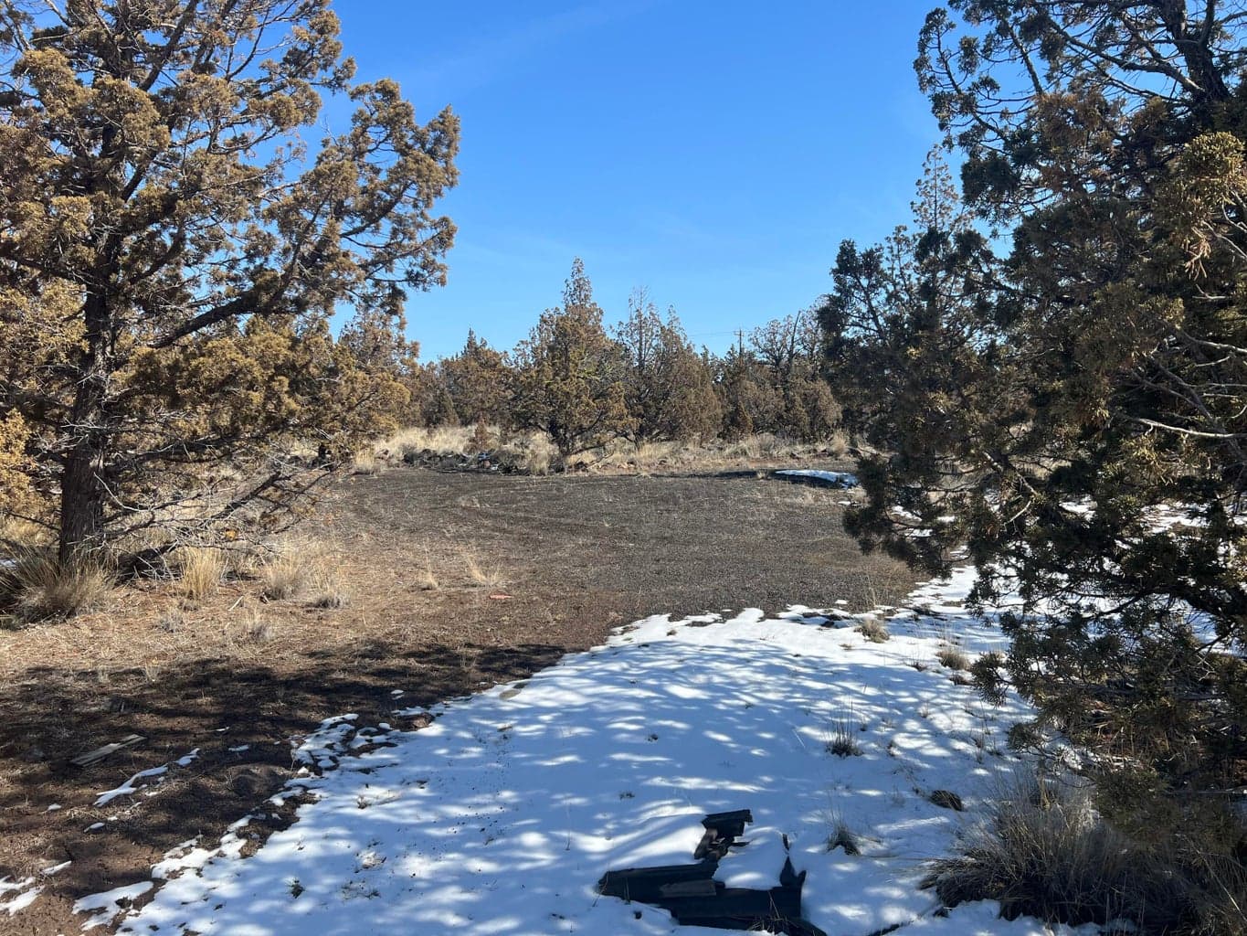 Photo of TL3100 SE Umatilla Loop 9 of 16