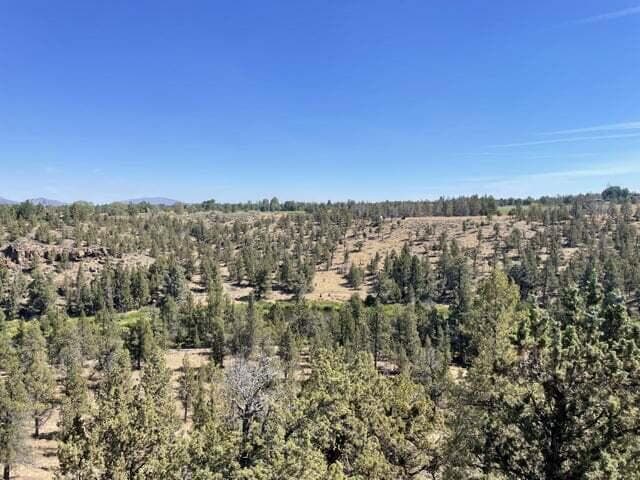 Photo of 1844 Redtail Hawk Drive 23 of 42
