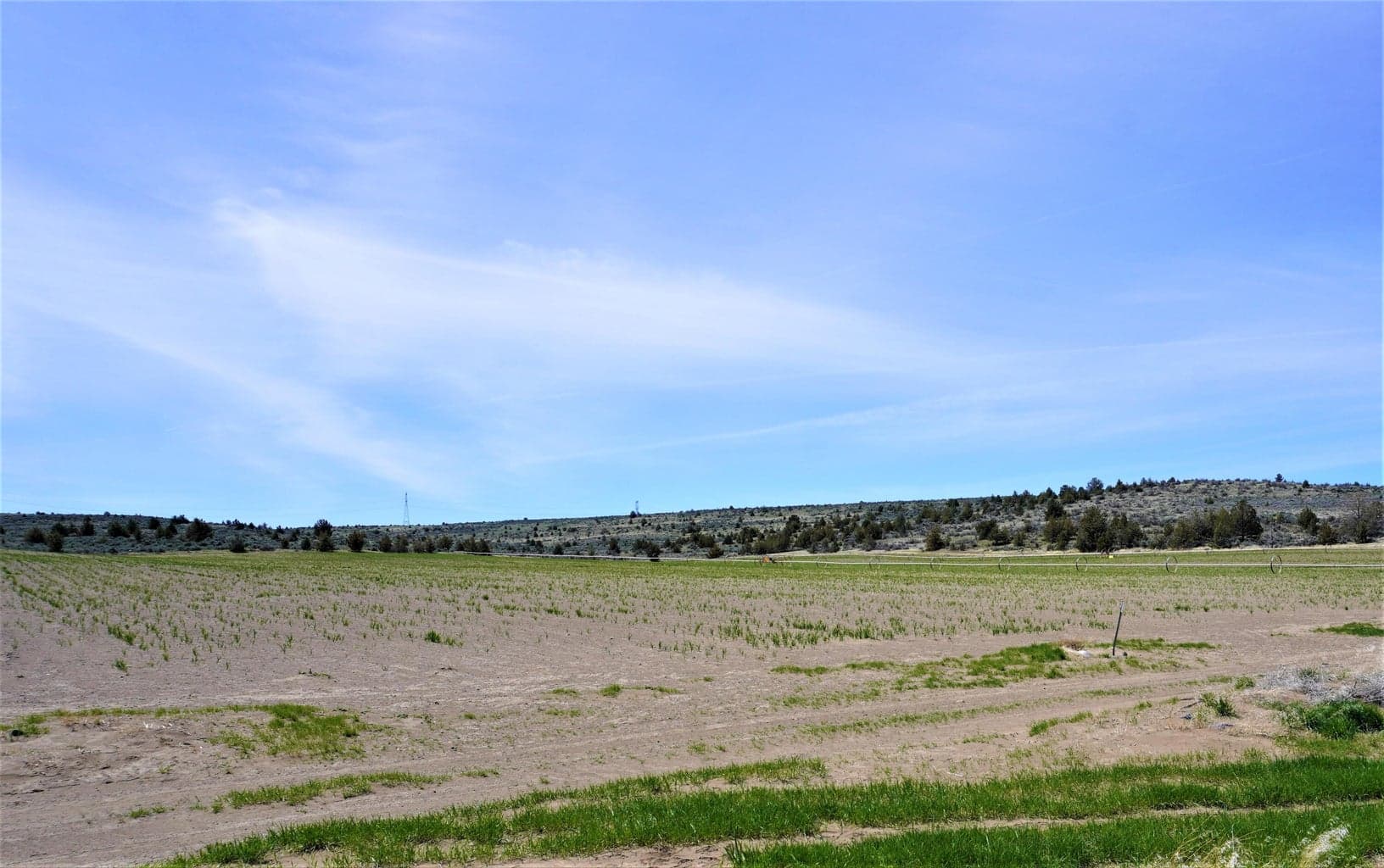 Photo of 4000 SE Baldwin Drive 38 of 63