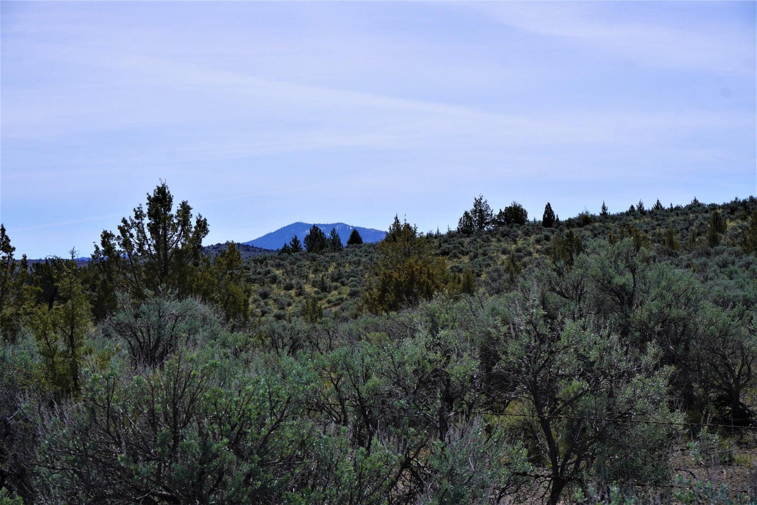 Photo of 4000 SE Baldwin Drive 25 of 63