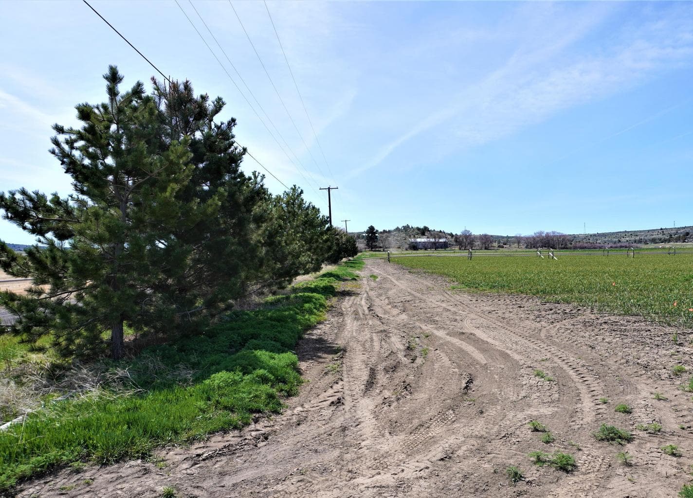 Photo of 4000 Baldwin 3 of 63