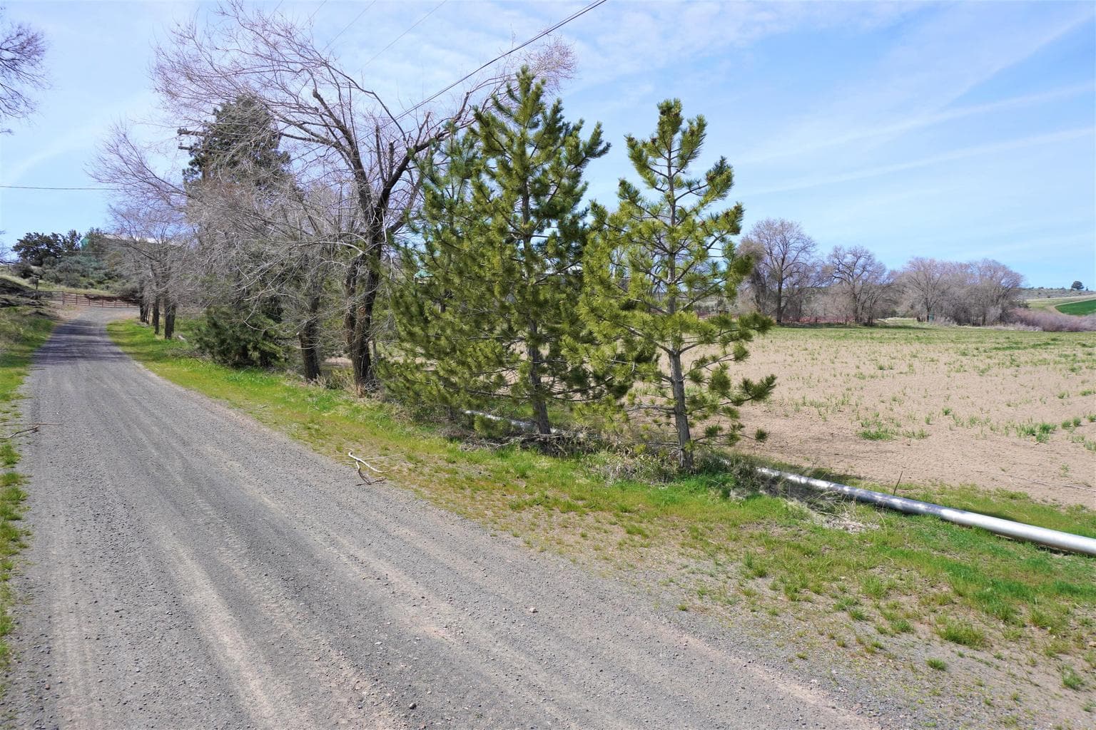 Photo of 4000 SE Baldwin Drive 8 of 63