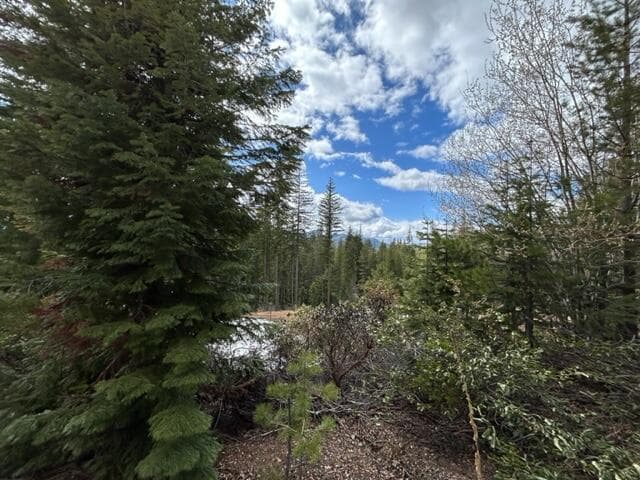 Photo of 8 Diamond Peak 2 of 8