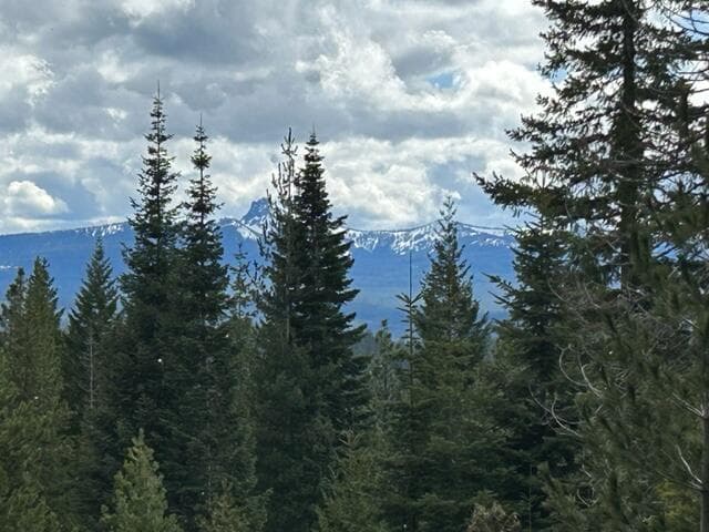 8 Diamond Peak, Crescent Lake, 97733