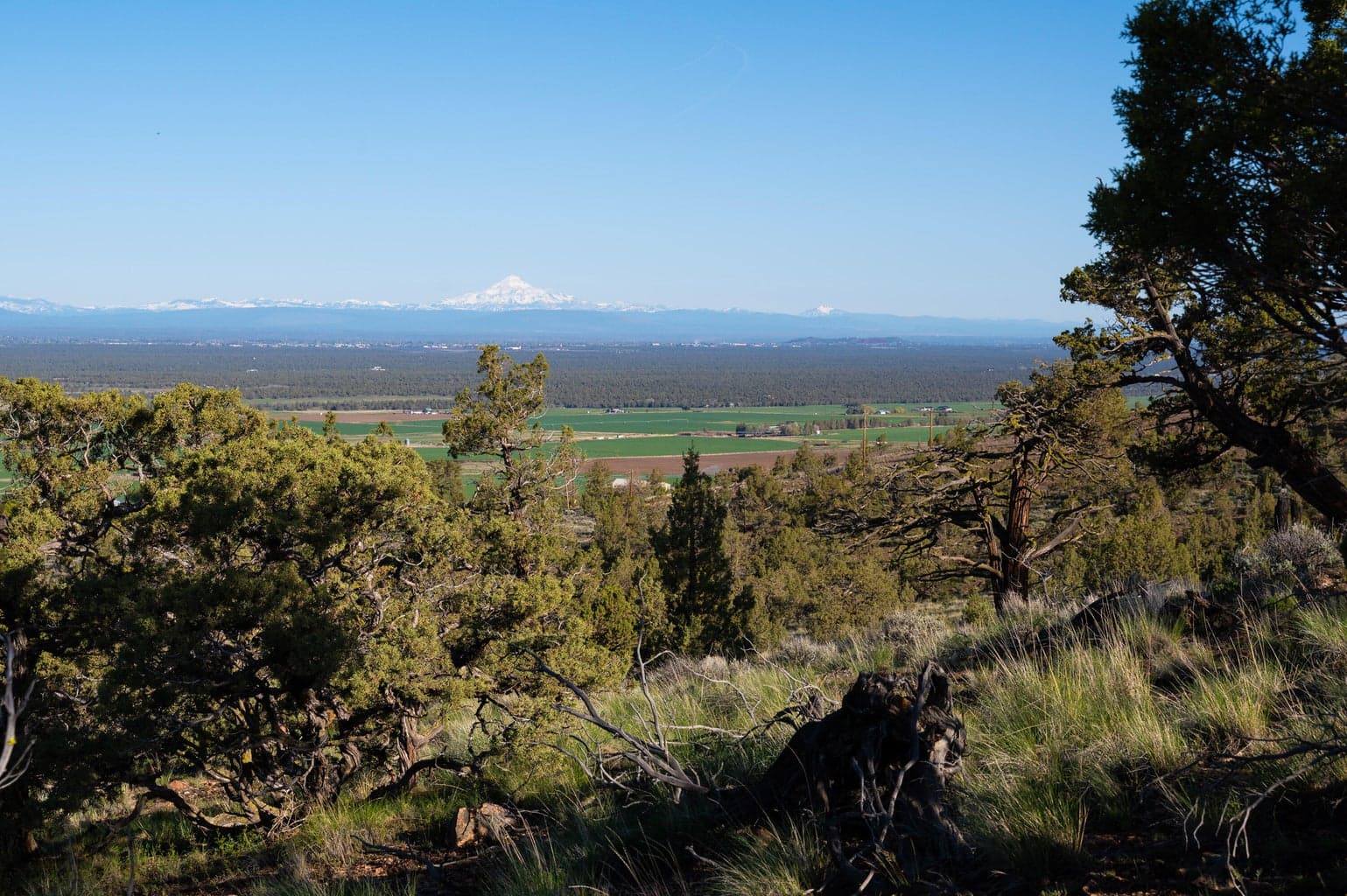 Photo of 405 Meadowlark 3 of 24