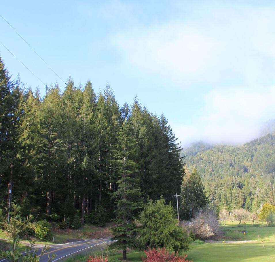 Cedar Valley, Gold Beach, 97444