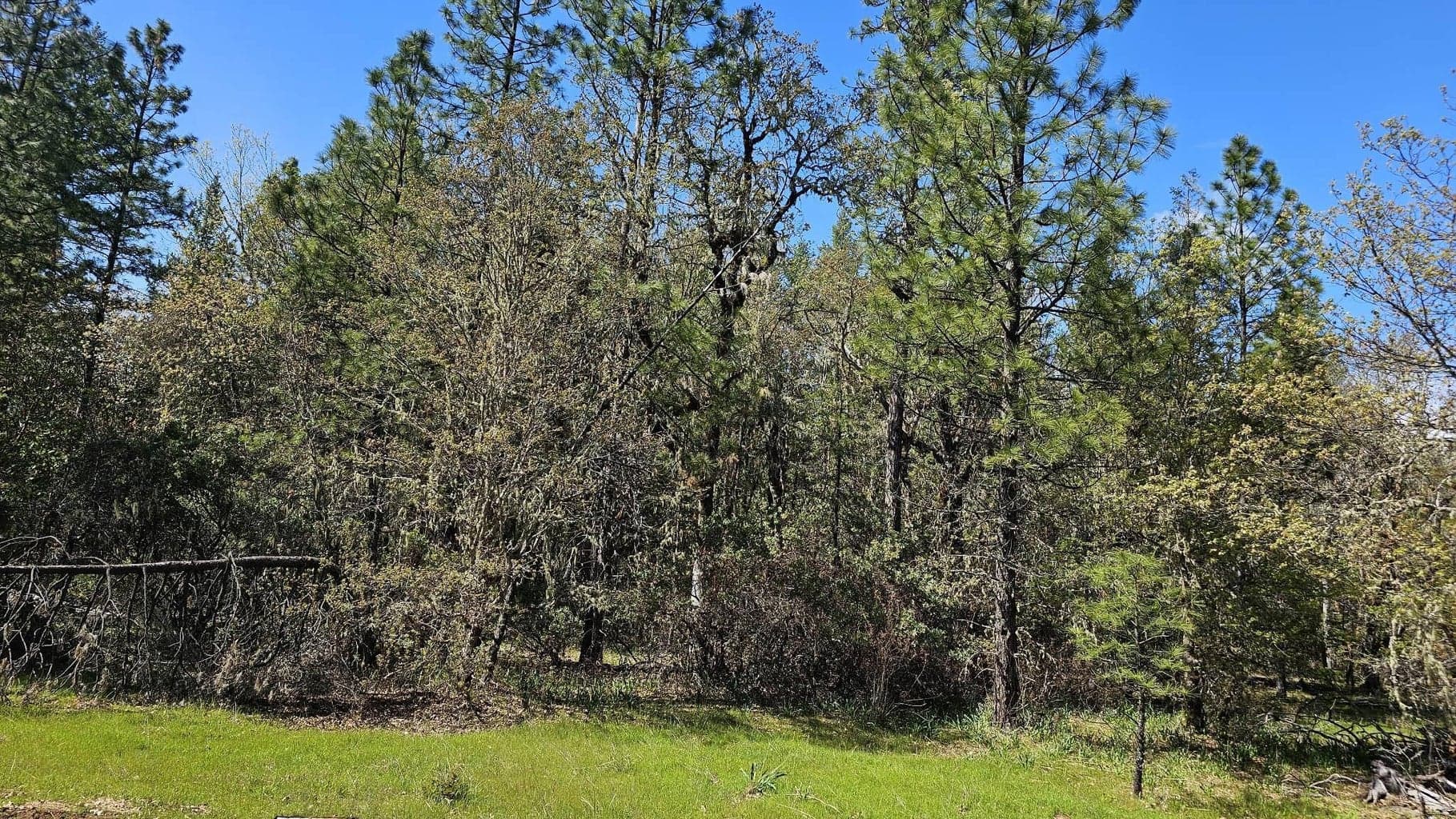 Photo of 109 Garner 1 of 4