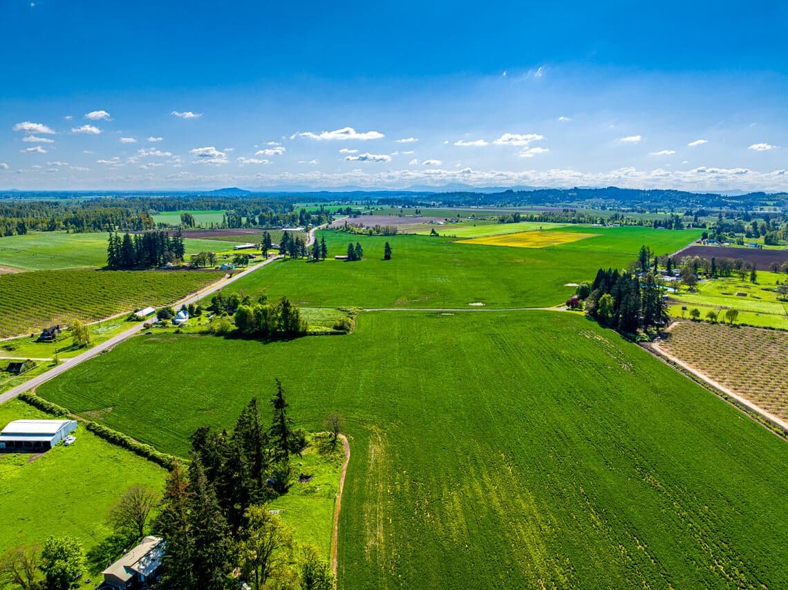 Photo of 8527 Stayton 4 of 24